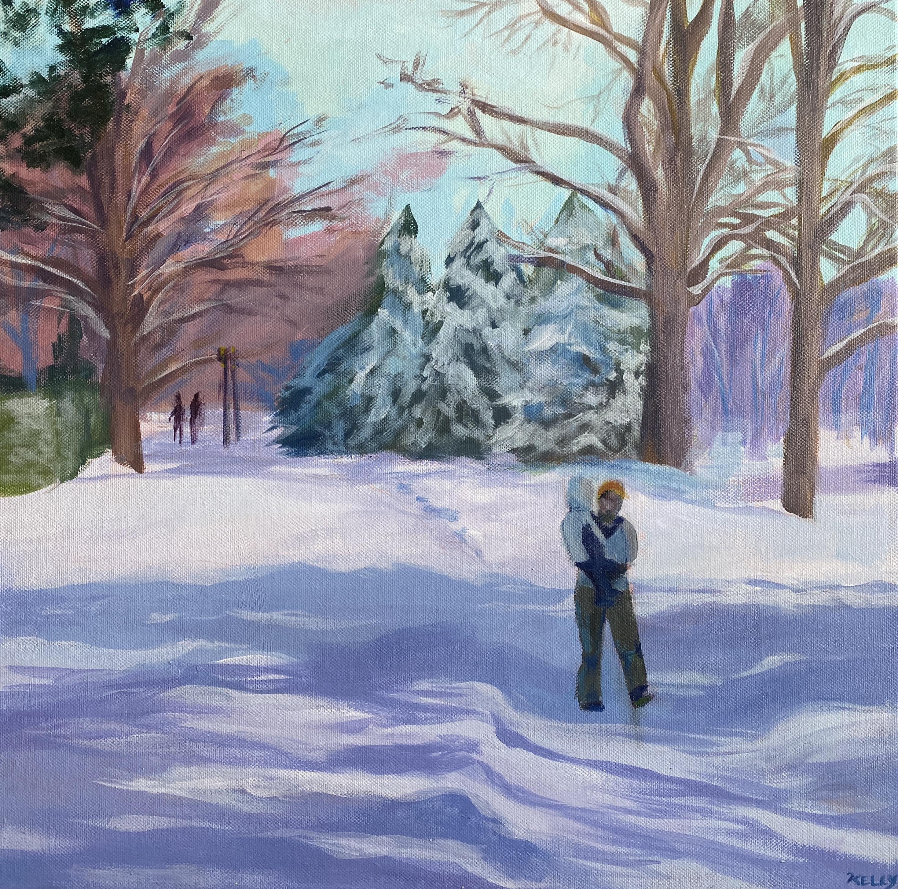 a snowy walk